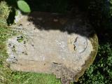 image number DSC_2606